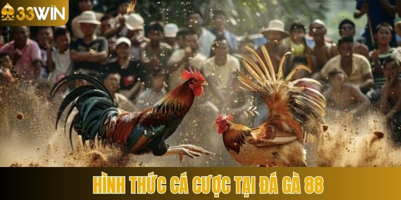 Top các siêu phẩm hot hit có mặt tại đá gà 88