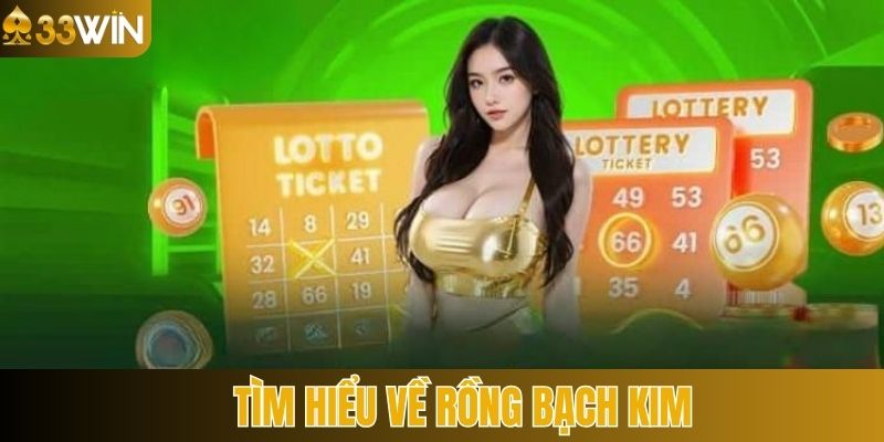 Đôi nét thông tin về soi cầu bạch kim trên thị trường